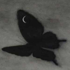 免费孩交网站在线观看
